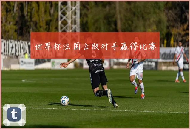 世界杯法国击败对手赢得比赛