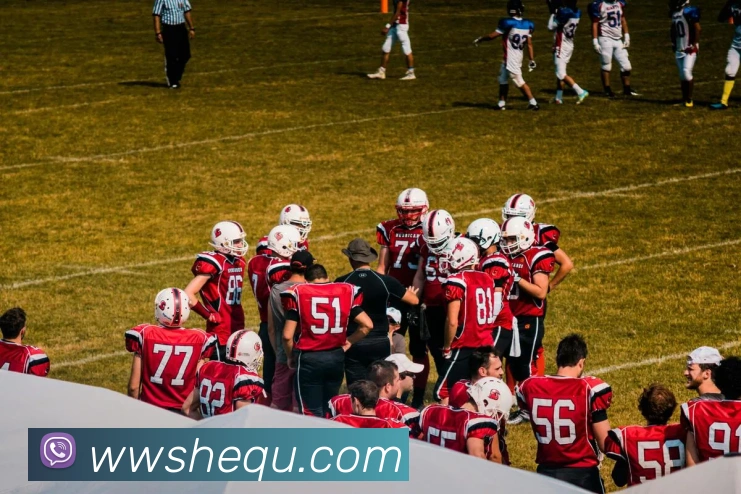 beat365中国官方网站app平台生态图