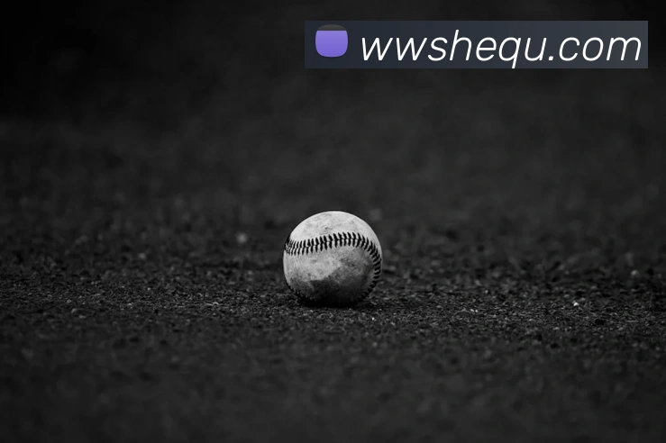 辅助工具 辅助工具